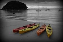 abel tasman national park new zealand.jpg